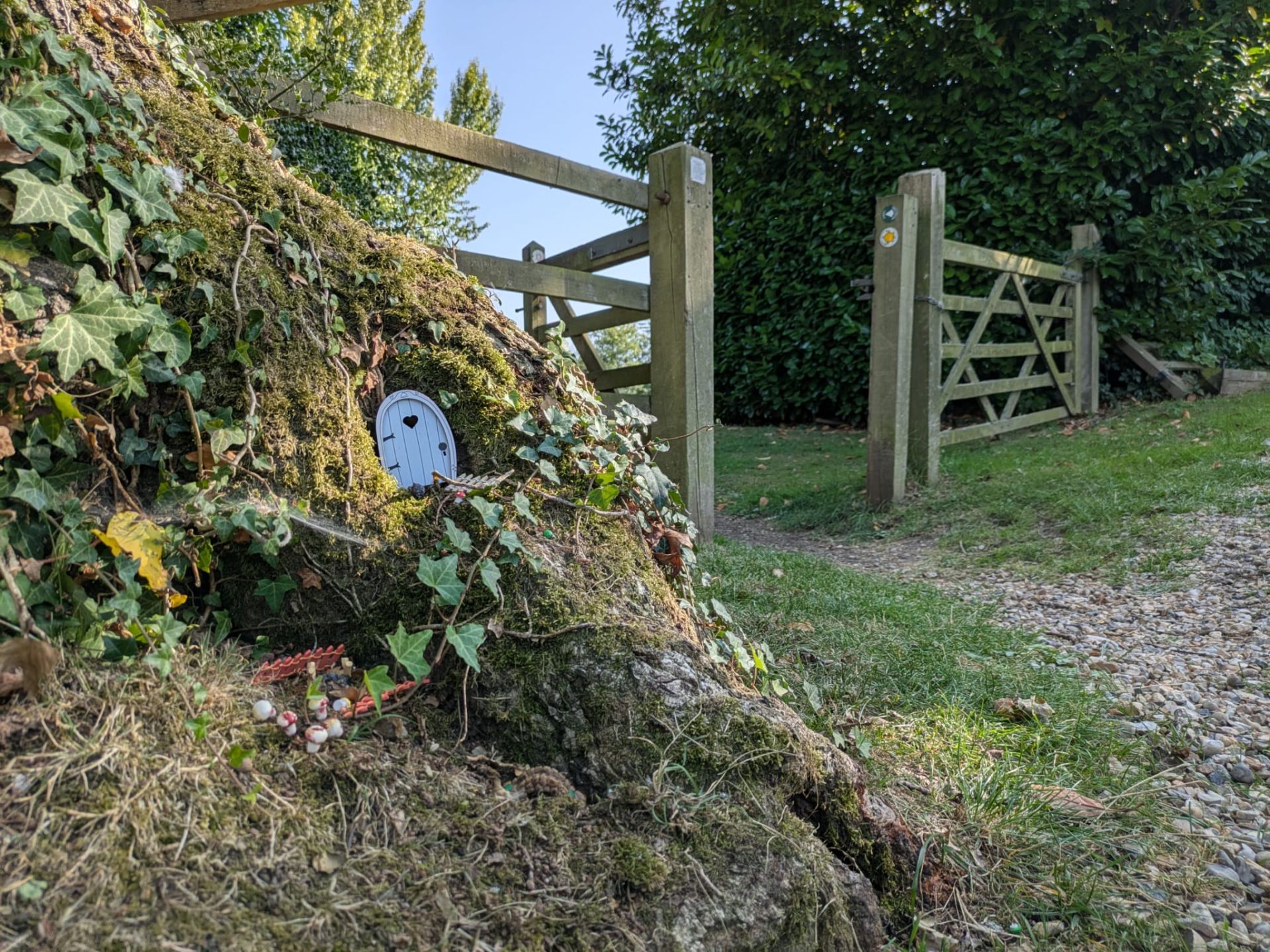 A small door in a tree